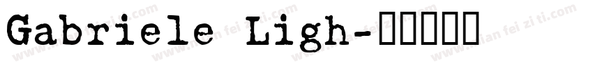 Gabriele Ligh字体转换